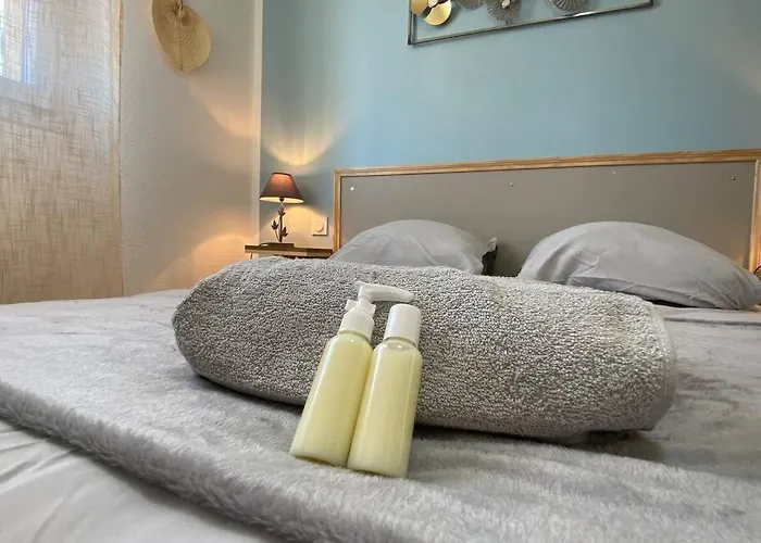 Le Voyage Bleu, Clim Parking * Carcassone